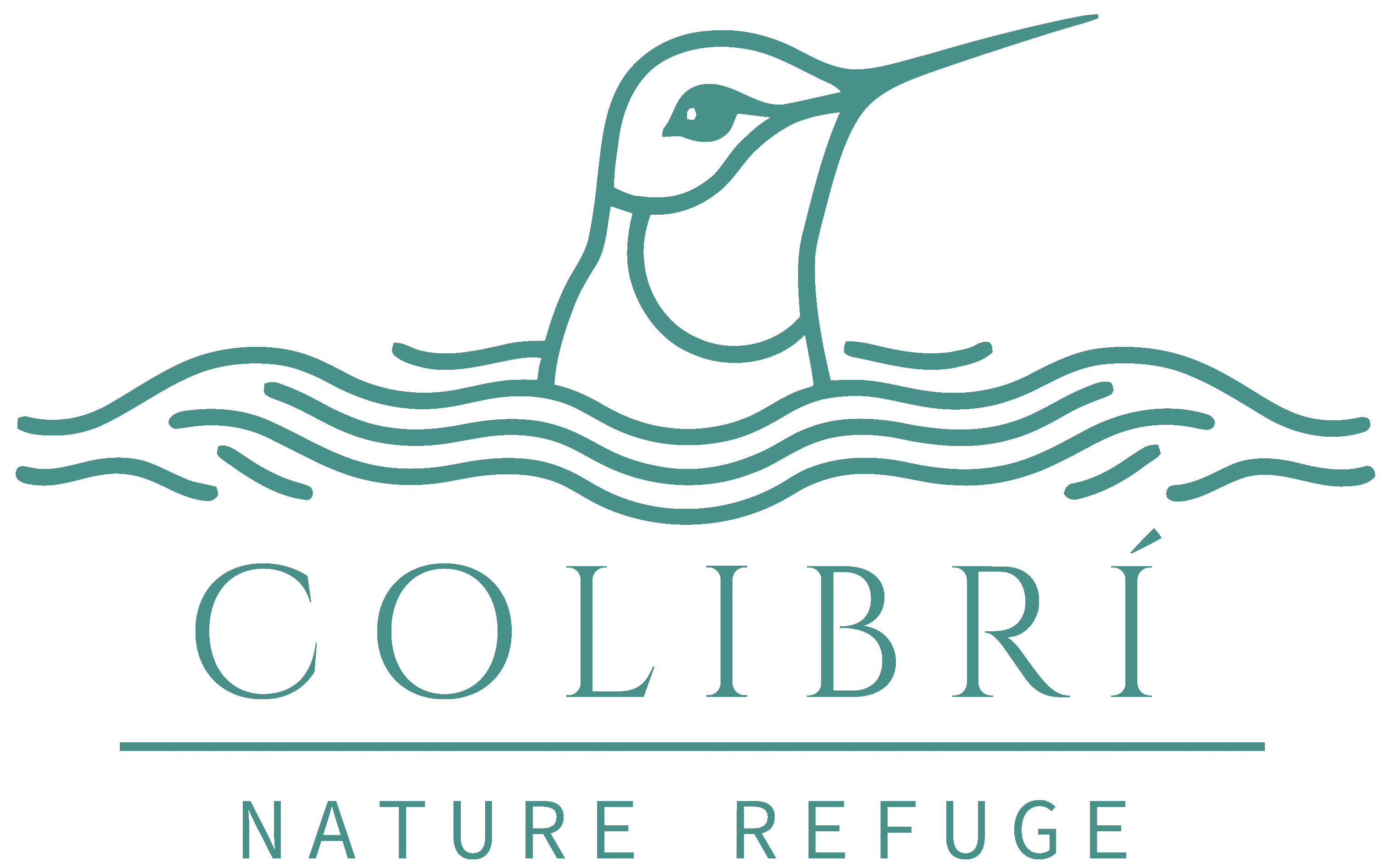 Colibrí